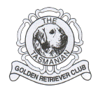 Golden retriever 2012 national dog show